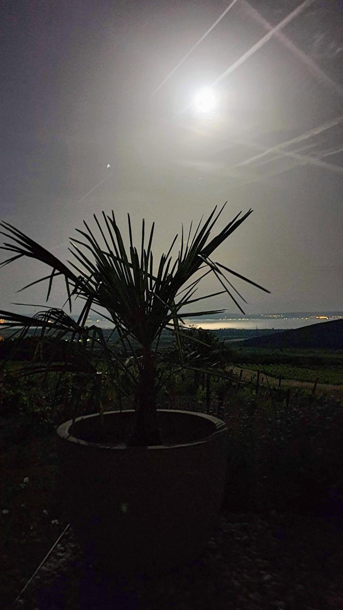 Villa Panorama, Balaton à Dörgicse Extérieur photo